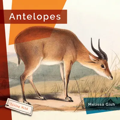 Antílopes - Antelopes