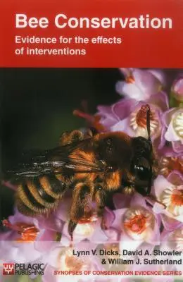 Conservación de las abejas: Pruebas de los efectos de las intervenciones - Bee Conservation: Evidence for the effects of interventions