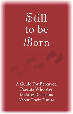 Aún por nacer: Guía para padres en duelo que toman decisiones sobre su futuro - Still to Be Born: A Guide for Bereaved Parents Who Are Making Decisions About Their Future