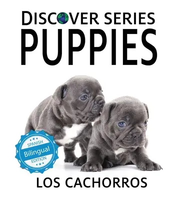 Puppies / Los cachorros