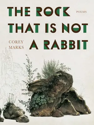 La roca que no es un conejo: Poemas - The Rock That Is Not a Rabbit: Poems