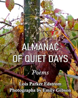 Almanaque de días tranquilos - Almanac of Quiet Days