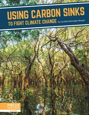 Utilizar los sumideros de carbono para combatir el cambio climático - Using Carbon Sinks to Fight Climate Change