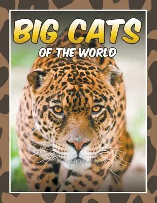 Grandes felinos del mundo - Big Cats of the World