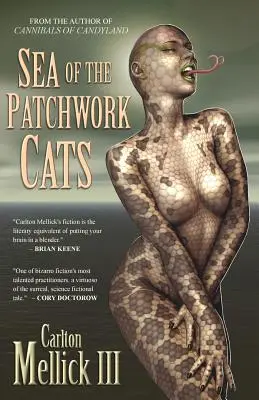 El mar de los gatos de patchwork - Sea of the Patchwork Cats