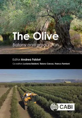 El Olivo: Botánica y Producción - The Olive: Botany and Production