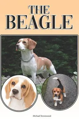 El Beagle: Una guía completa y exhaustiva para principiantes: Comprar, Tener, Salud, Aseo, Adiestramiento, Obediencia, Comprensión - The Beagle: A Complete and Comprehensive Beginners Guide To: Buying, Owning, Health, Grooming, Training, Obedience, Understanding