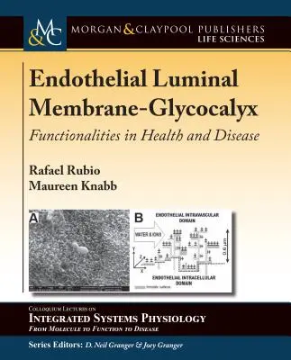 Membrana Luminal Endotelial-Glicocálix: Funcionalidades en la Salud y la Enfermedad - Endothelial Luminal Membrane-Glycocalyx: Functionalities in Health and Disease