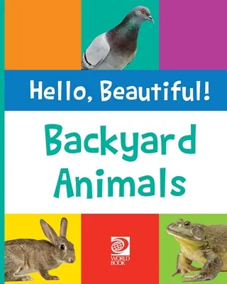Animales de patio - Backyard Animals