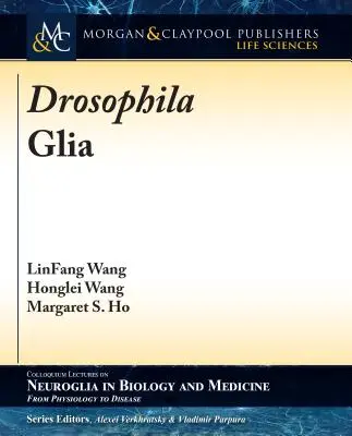 Glía de Drosophila - Drosophila Glia