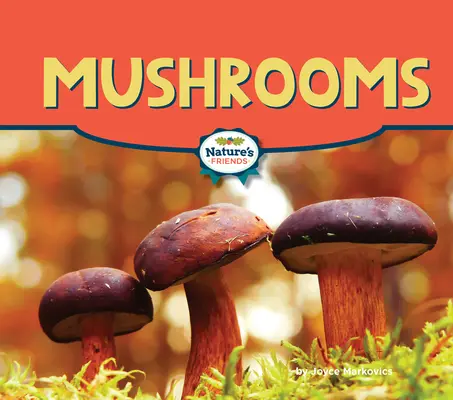 Setas - Mushrooms