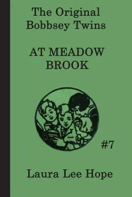 Los gemelos Bobbsey en Meadow Brook - The Bobbsey Twins at Meadow Brook