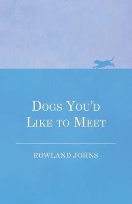 Perros que te gustaría conocer - Dogs You'd Like to Meet