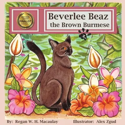 Beverlee Beaz, la birmana parda - Beverlee Beaz the Brown Burmese