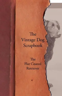 The Vintage Dog Scrapbook - El Flat Coated Retriever - The Vintage Dog Scrapbook - The Flat Coated Retriever