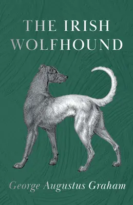 El lobero irlandés - The Irish Wolfhound