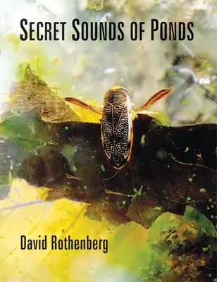 Sonidos secretos de los estanques - Secret Sounds of Ponds