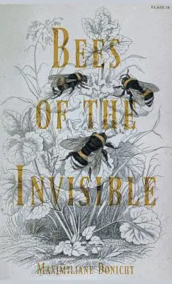 Abejas de lo invisible - Bees of the Invisible