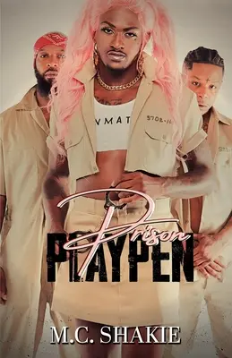 Parque penitenciario - Prison Playpen