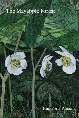 El bosque de los arándanos - The Mayapple Forest