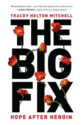El gran remedio: esperanza después de la heroína - The Big Fix: Hope After Heroin