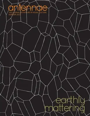 Antennae #61 La superficie terrestre - Antennae #61 Earthly Mattering