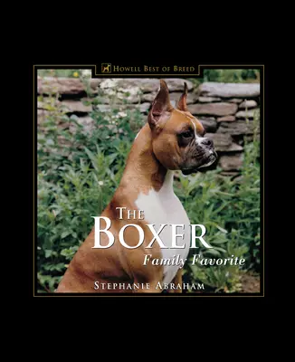 El bóxer: favorito de la familia - The Boxer: Family Favorite