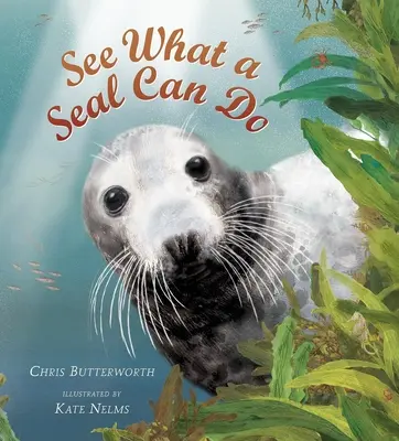 Vea lo que puede hacer una foca - See What a Seal Can Do