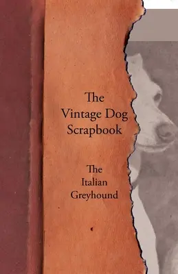 The Vintage Dog Scrapbook - El Galgo Italiano - The Vintage Dog Scrapbook - The Italian Greyhound