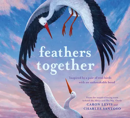 Plumas juntas - Feathers Together