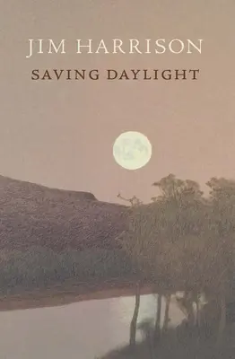 Salvar la luz del día - Saving Daylight