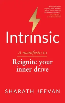 Intrinsic: A Manifesto to Reignite Your Inner Drive (en inglés) - Intrinsic: A Manifesto to Reignite Your Inner Drive