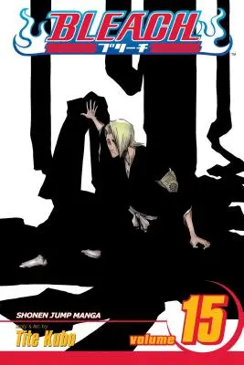 Bleach, Vol. 15: Volume 15