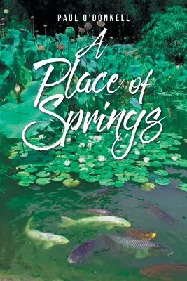 Un lugar de manantiales - A Place of Springs