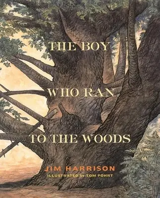 El niño que corría hacia el bosque - The Boy Who Ran to the Woods