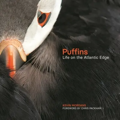 Puffins: La vida en la orilla del Atlántico - Puffins: Life on the Atlantic Edge