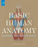 Anatomía humana básica: Una guía visual esencial para artistas - Basic Human Anatomy: An Essential Visual Guide for Artists