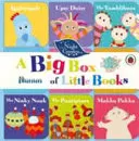 En el jardín nocturno: Una gran caja de libritos - In the Night Garden: A Big Box of Little Books