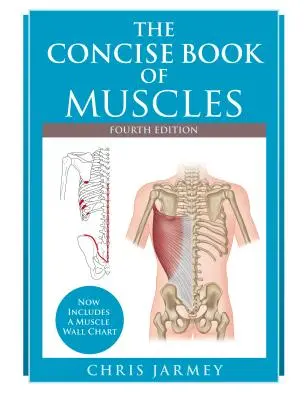 El libro conciso de los músculos, cuarta edición - The Concise Book of Muscles, Fourth Edition