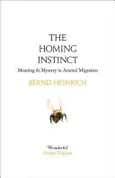 Instinto de búsqueda - Homing Instinct