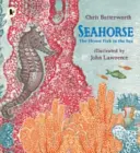 Caballito de mar: El pez más tímido del mar - Seahorse: The Shyest Fish in the Sea