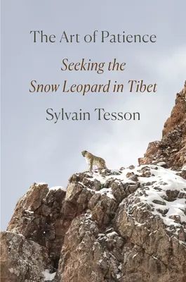 El arte de la paciencia: En busca del leopardo de las nieves en el Tíbet - The Art of Patience: Seeking the Snow Leopard in Tibet