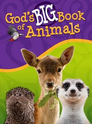El gran libro de Dios sobre los animales - God's Big Book of Animals