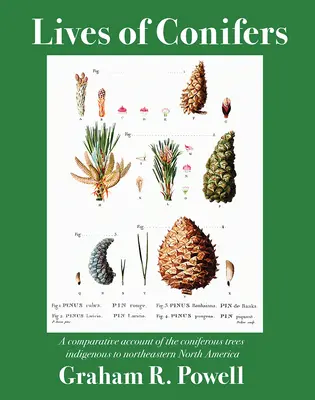 La vida de las coníferas: Un relato comparativo de las coníferas autóctonas del noreste de Norteamérica - Lives of Conifers: A Comparative Account of the Coniferous Trees Indigenous to Northeastern North America