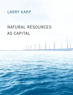 Los recursos naturales como capital - Natural Resources as Capital