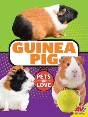 Conejillo de Indias - Guinea Pig