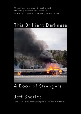 Esta Brillante Oscuridad: Un libro de extraños - This Brilliant Darkness: A Book of Strangers