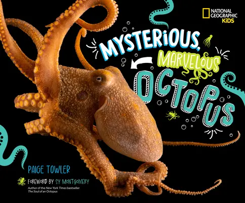 El misterioso y maravilloso pulpo - Mysterious, Marvelous Octopus!