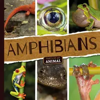 Anfibios - Amphibians