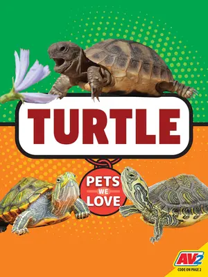 Tortuga - Turtle